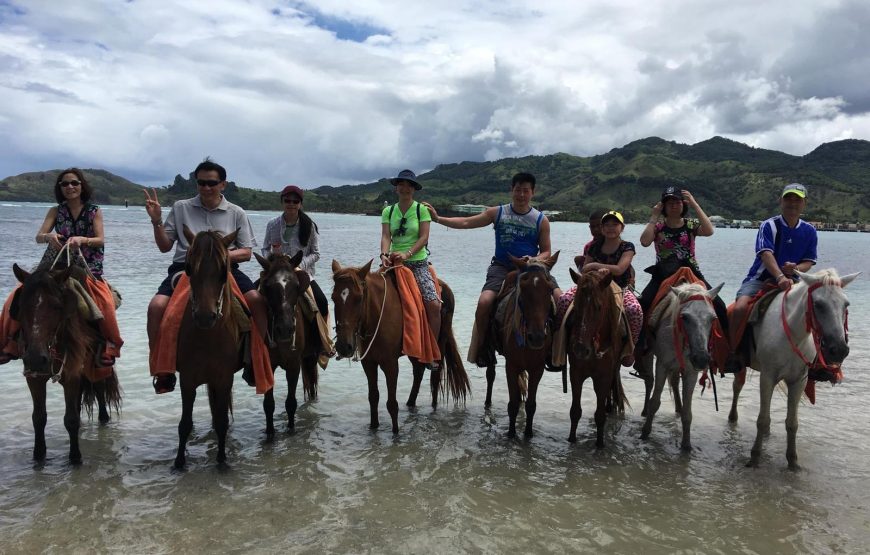 Horseback Riding Tour