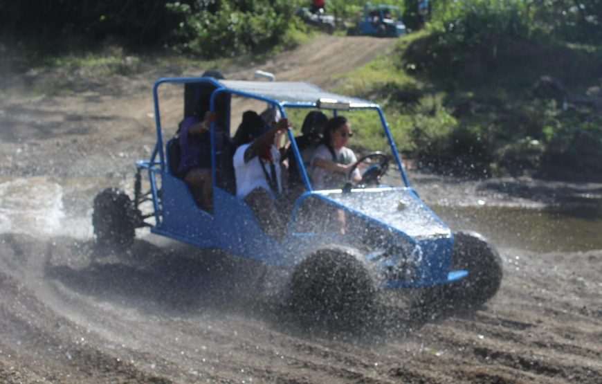 Ultimate Family Buggy Adventure for 4