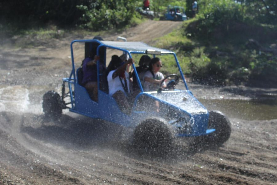 Ultimate Family Buggy Adventure for 4