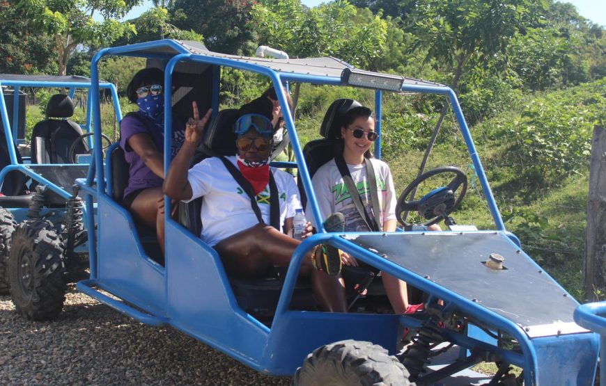 Ultimate Family Buggy Adventure for 4